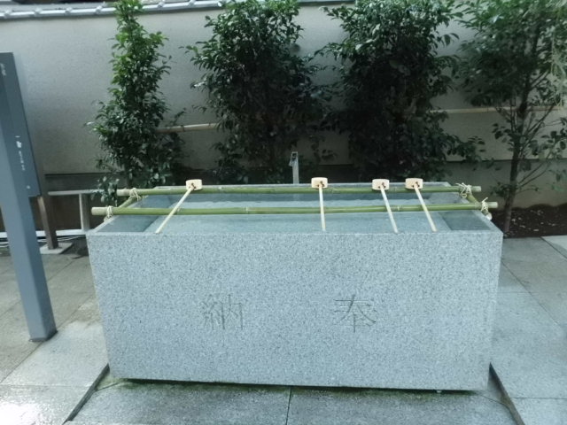 CIMG0414.jpg