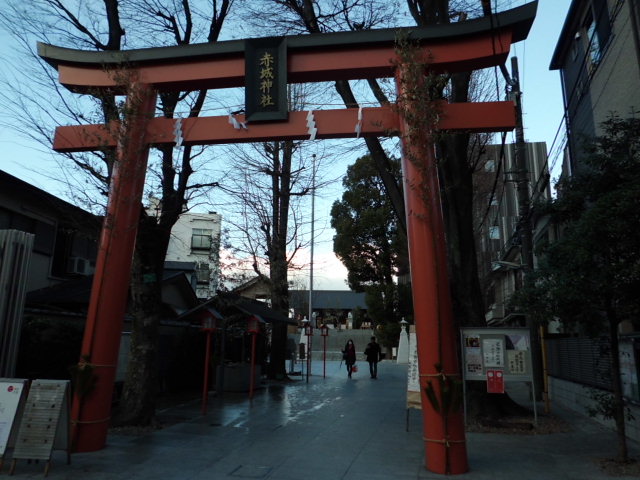 CIMG0415.jpg