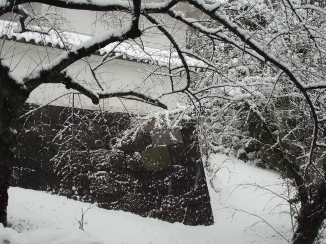 CIMG0901.jpg