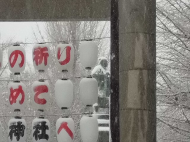 CIMG0905.jpg