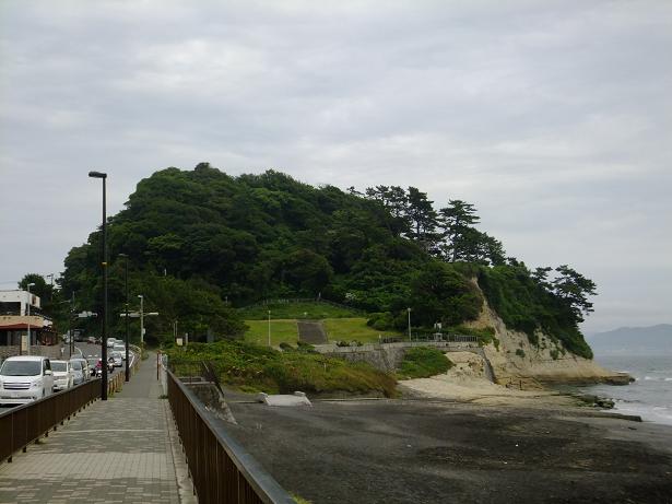 DSCF0231_1.jpg