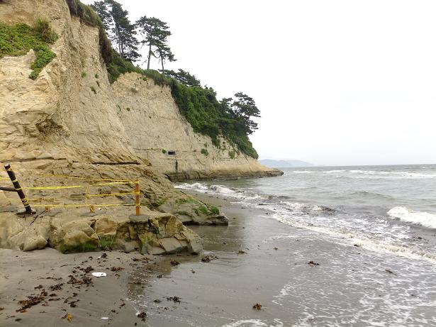 DSCF0237_1.jpg
