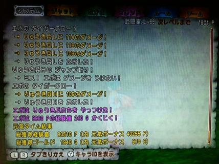 写真 (5)