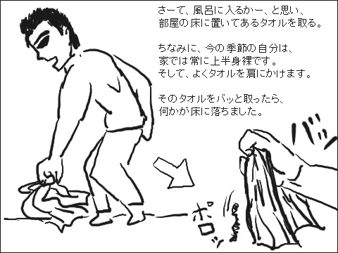 ムカデとの戦い 1