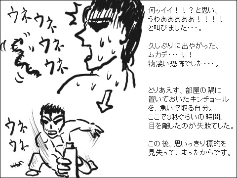 ムカデとの戦い 2
