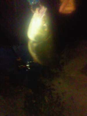 130319_03.jpg
