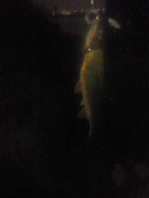 130401r.jpg
