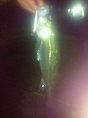 130404r.jpg