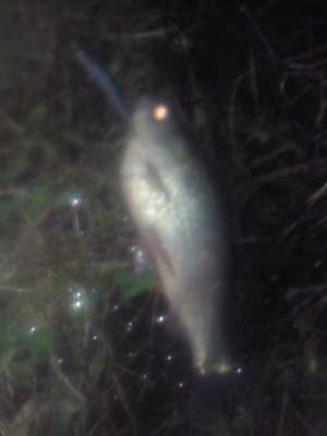 130408b.jpg