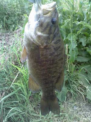 130422small.jpg