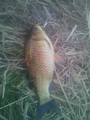 201303081717000.jpg