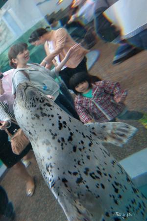 IMG_1638.jpg