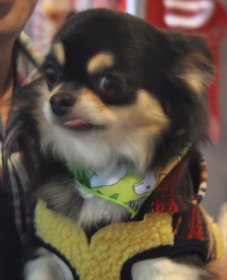 120211-hukusuke-3.jpg