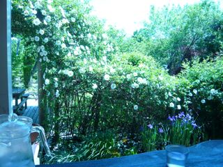 2012050306.jpg