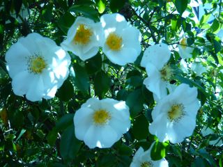 2012050309.jpg