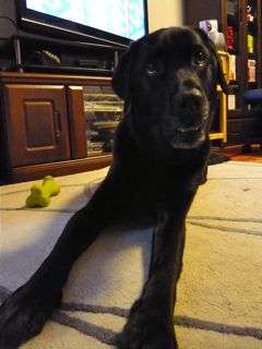 2012061705.jpg