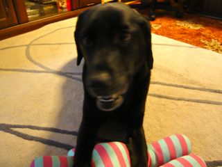 2012061706.jpg
