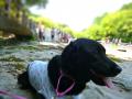 P1040351-tiltshift.jpg