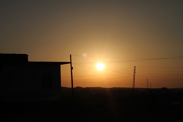 IMG_2657.jpg
