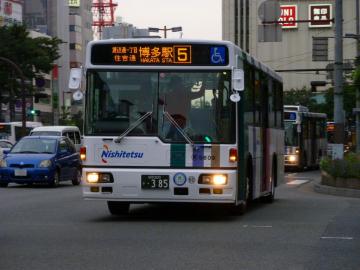 4036.jpg