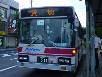 4241.jpg