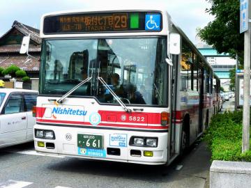 4259.jpg