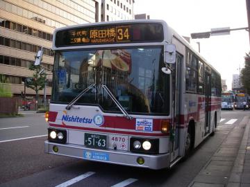 4294.jpg
