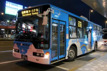 4515.jpg