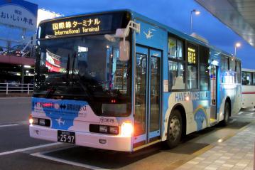 4516.jpg