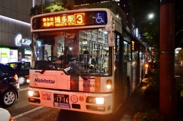5197.jpg