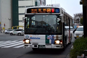 5354.jpg