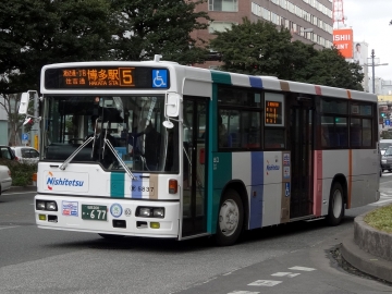 5355.jpg