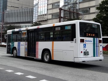 5356.jpg