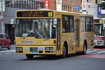 DSC_0768-1.jpg
