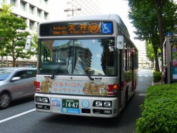 nnr00127k.jpg