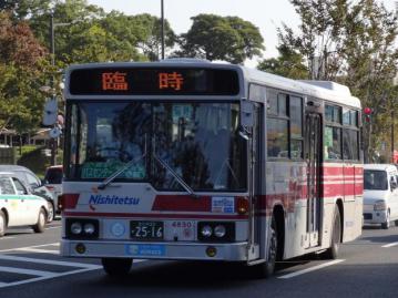 nnr00133k.jpg