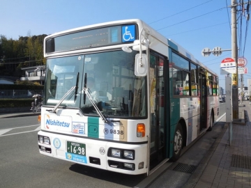 nnr00216k.jpg