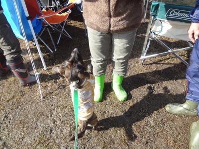 DSC02599_convert_20121216213134.jpg