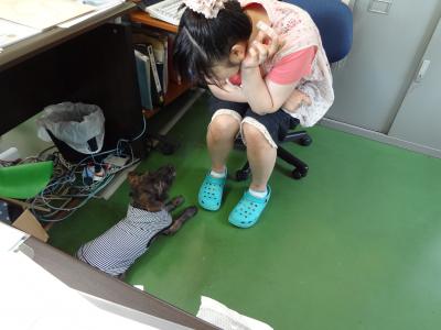 DSC07945_convert_20120622143636.jpg
