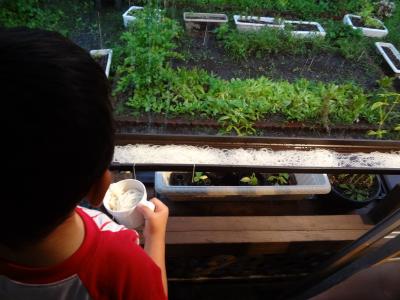 DSC08267_convert_20120702114908.jpg