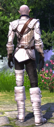 tera_e_yoroi_ee_195.jpg