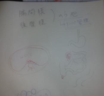 先生のメモ1