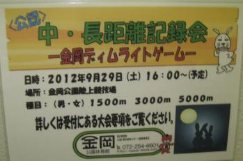 ディムライト