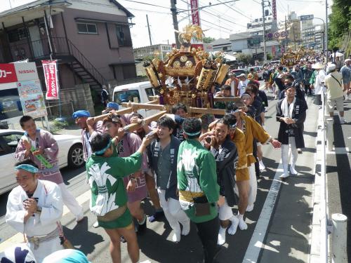 IMGP8071.jpg