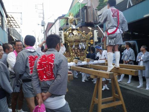 IMGP8231.jpg