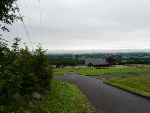 P1030316.jpg