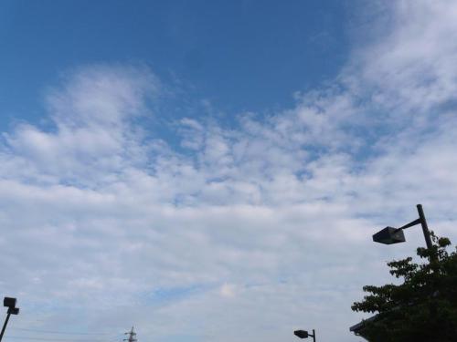 P1220849.jpg