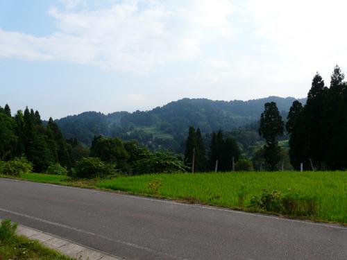 P1230440.jpg