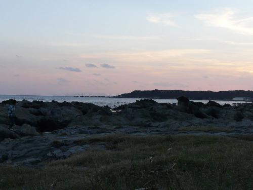 P1240461.jpg