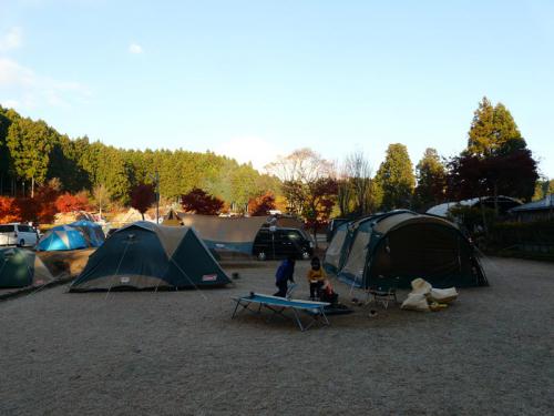 P1250165.jpg